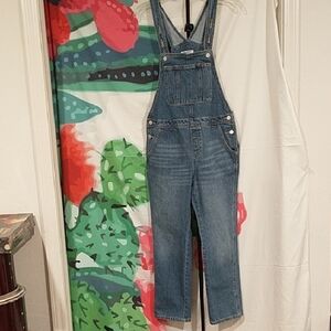Old Navy Blue Denim Overalls